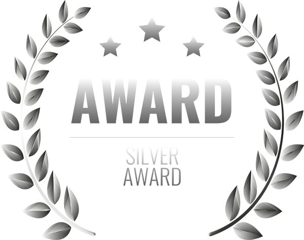 silver award